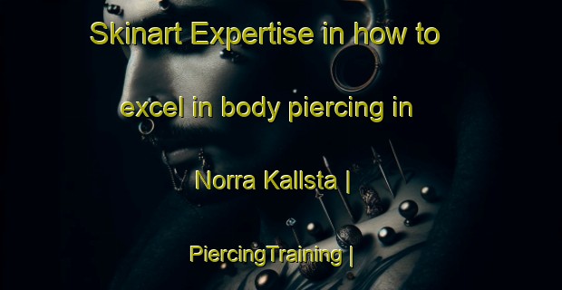 Skinart Expertise in how to excel in body piercing in Norra Kallsta | PiercingTraining | PiercingClasses | SkinartTraining-Sweden